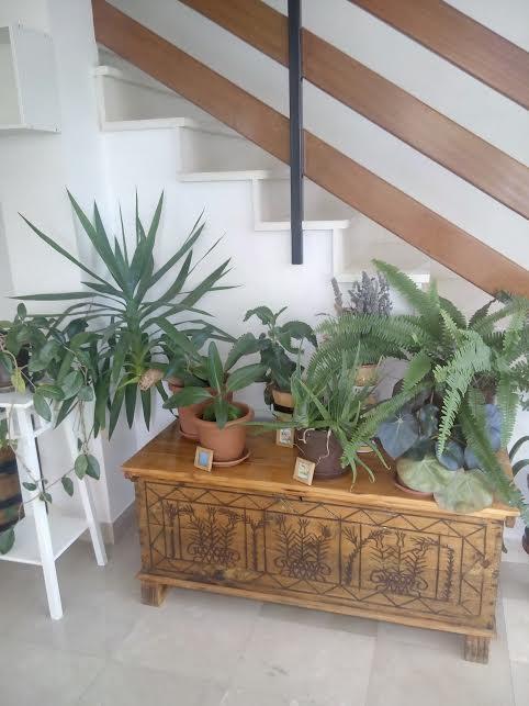 Apartmani Maretimo Primošten Exterior foto
